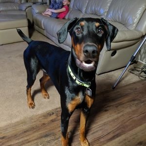 Meet your Posher, Justin